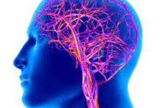 Predicting Cerebrovascular Diabetes Compilations with ML