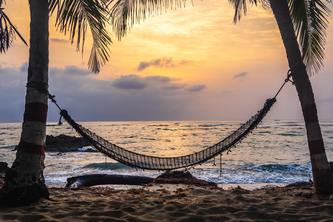 Hammock