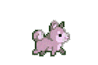 The PROFESSIONALS Portfolio