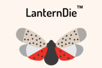 LanternDie
