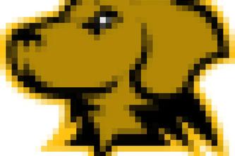 Pixelerizer