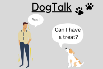 DogTalk