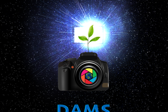 DAMS