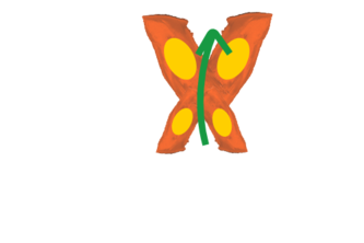 Greenly Kids Eco-Survey 5