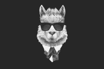 Optiver - optibook_LAMA