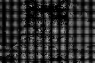 SelfPortrait