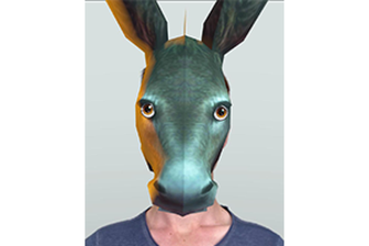 Donkey Head 3D