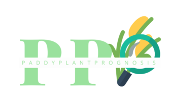 PaddyPlantPrognosis
