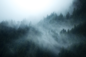 Carbon Footprint Calculator