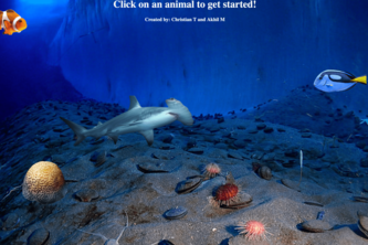 Explore creatures below the Sea!