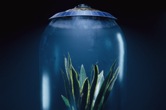 Sci-Fi Terrarium
