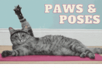 Paws & Poses