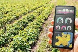 CRYPTOGRAPHIC FARMING