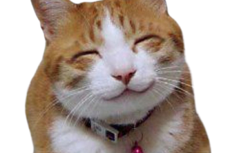 CatBot
