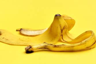 Project: Gone to Waste