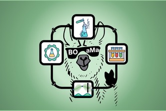 BOLLaMa