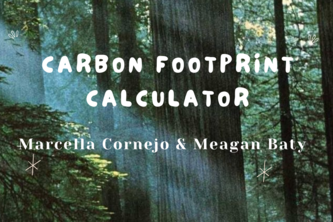 Carbon Footprint Calculator