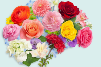 Paroma - Your buddy to happier days 