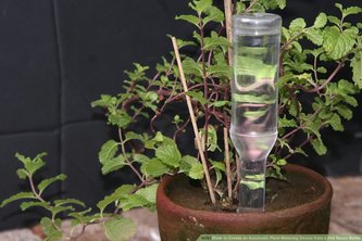 Plant Watering System