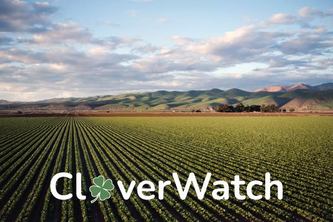 CloverWatch