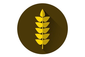 Crop Production Enhancement