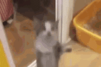 HP Supply Chain Optimization