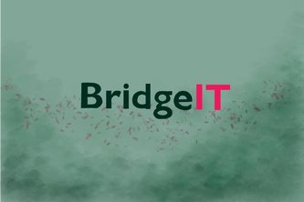 Health Bridge