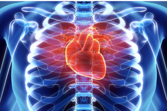 Cardiovascular disease prediction