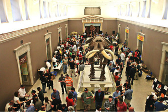 Buffalo Museum Visitor Tracker