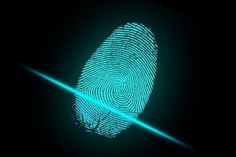 Fingerprint based fraud detection voting system