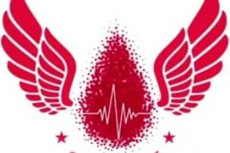 online blood bank mangement