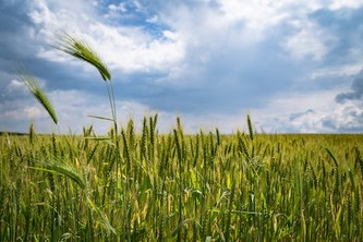 Cryptographic Farming