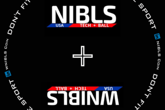 NIBLS Coin Project Analytics to Profits