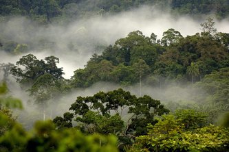 Carbon Neutral