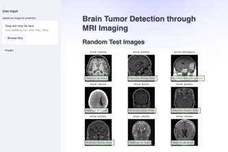 Brain Tumor Classification Model