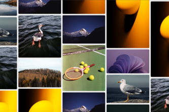 Image Gallery