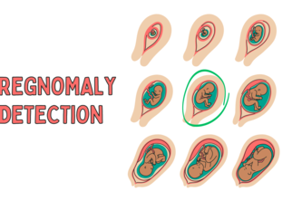 PregNomaly Detection