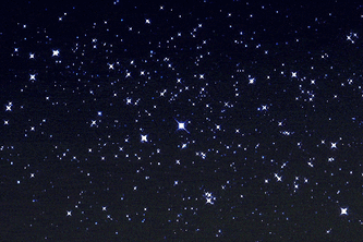 Stardex