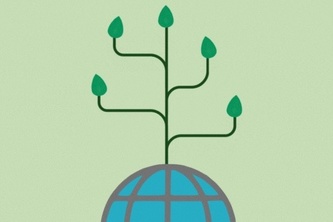 Waste Not, Worry Not