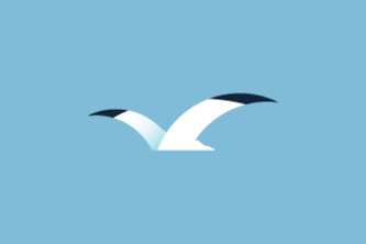 Seegull