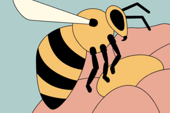 Bee Protection Resource