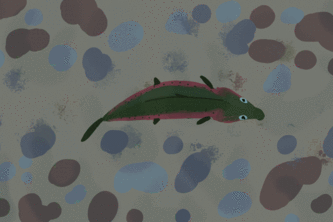 California Wildlife Adventure