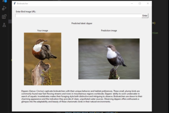 Birdwatcher