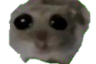 a day like any other