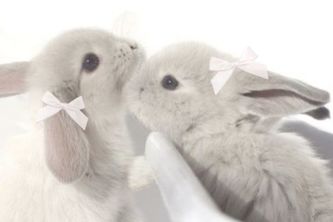 Ballistic Bot by Bdes Bunnies