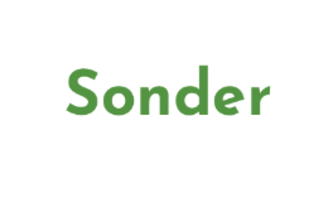 Sonder Junior Analyst