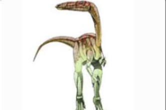 Animal to Dinosaur Transformer