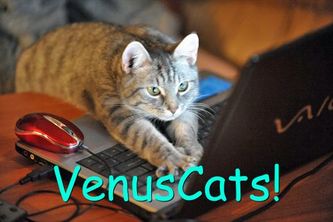 VenusCats 