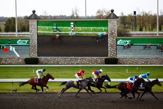 Digital Horse Betting Marketplace