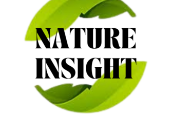 Nature Insight